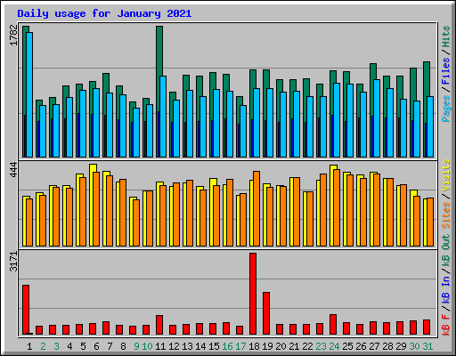 Daily usage for January 2021