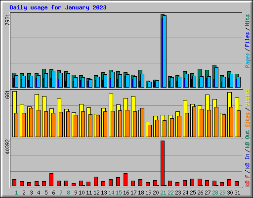 Daily usage for January 2023