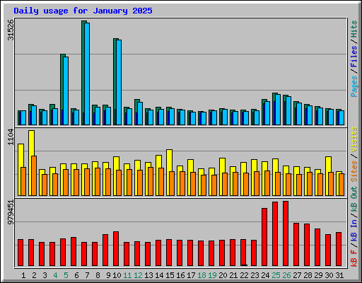 Daily usage for January 2025
