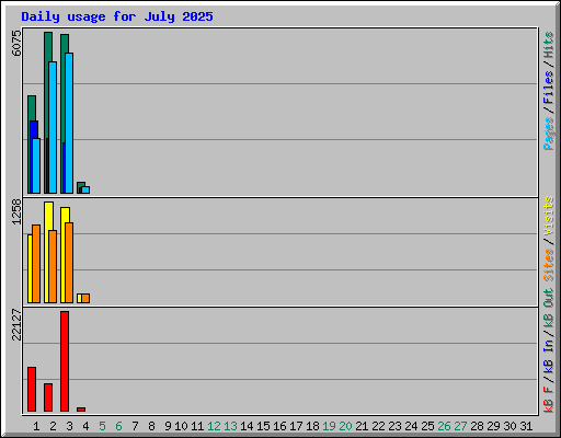 Daily usage for July 2025