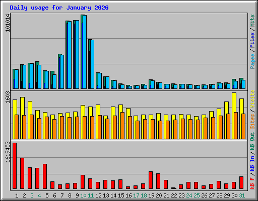 Daily usage for January 2026