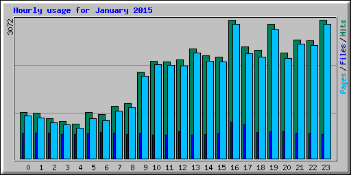 Hourly usage for January 2015