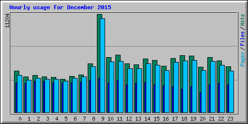 Hourly usage for December 2015