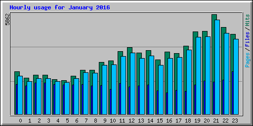 Hourly usage for January 2016