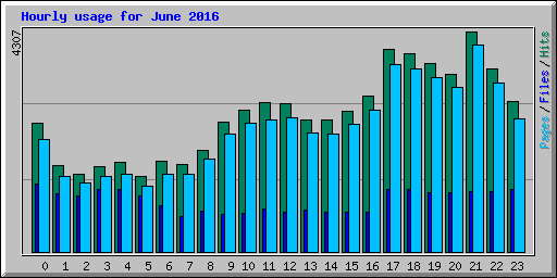 Hourly usage for June 2016