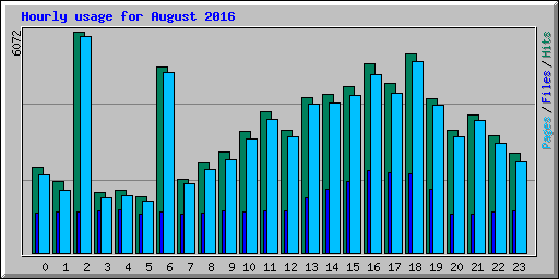 Hourly usage for August 2016