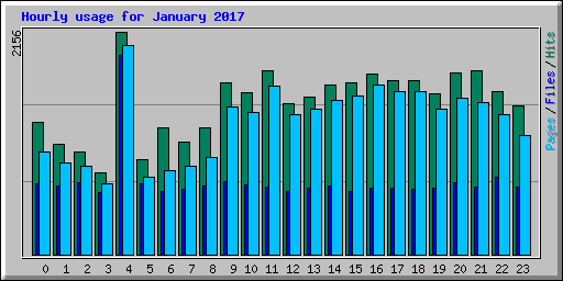 Hourly usage for January 2017