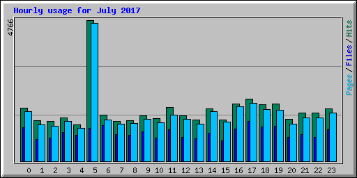 Hourly usage for July 2017