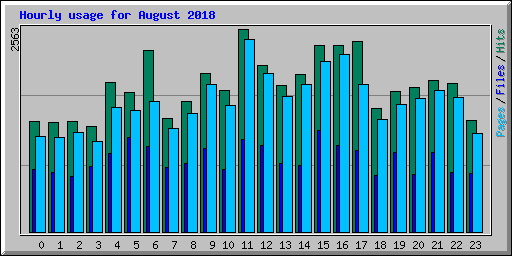 Hourly usage for August 2018