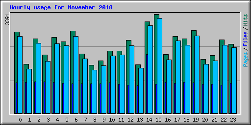 Hourly usage for November 2018