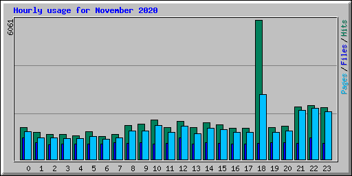 Hourly usage for November 2020