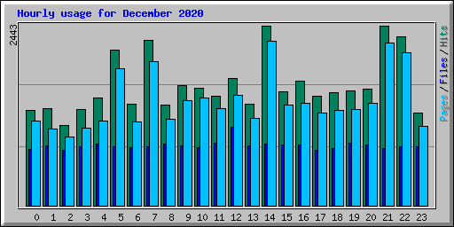 Hourly usage for December 2020