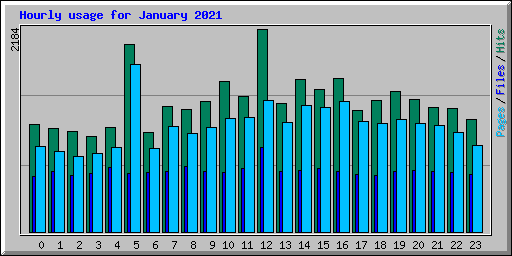 Hourly usage for January 2021