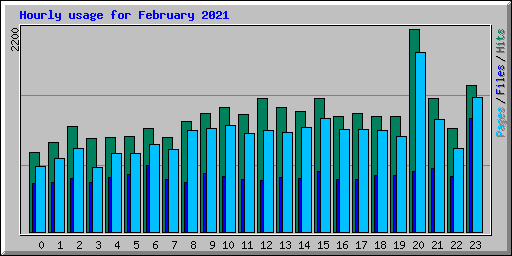 Hourly usage for February 2021