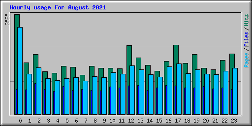Hourly usage for August 2021