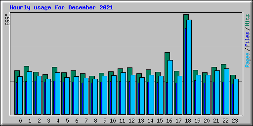 Hourly usage for December 2021