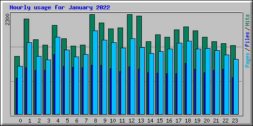Hourly usage for January 2022