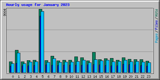 Hourly usage for January 2023