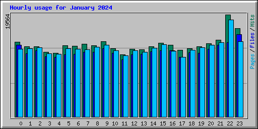 Hourly usage for January 2024