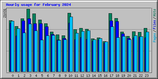 Hourly usage for February 2024