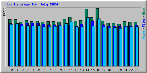 Hourly usage for July 2024
