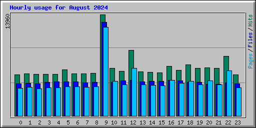 Hourly usage for August 2024