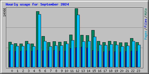 Hourly usage for September 2024