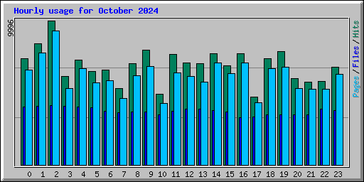 Hourly usage for October 2024