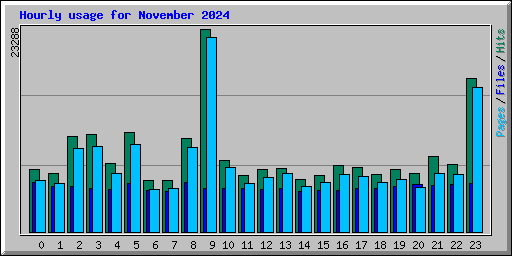 Hourly usage for November 2024