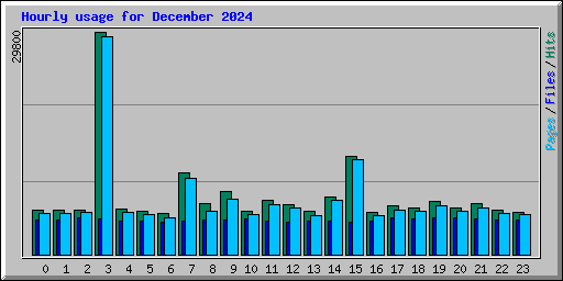 Hourly usage for December 2024