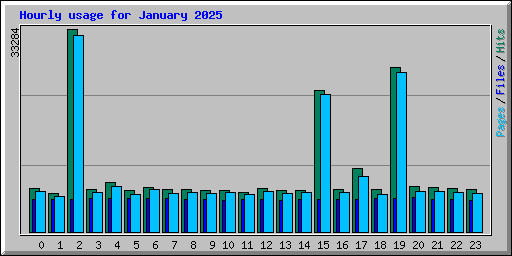 Hourly usage for January 2025