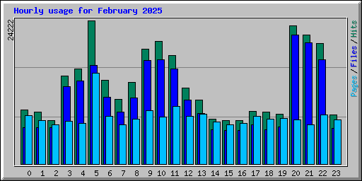 Hourly usage for February 2025