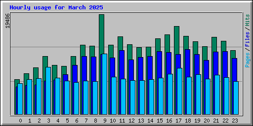 Hourly usage for March 2025