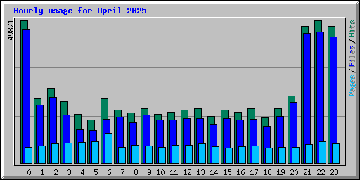 Hourly usage for April 2025