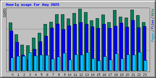 Hourly usage for May 2025