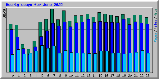 Hourly usage for June 2025