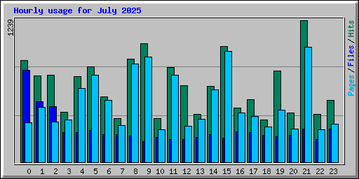 Hourly usage for July 2025