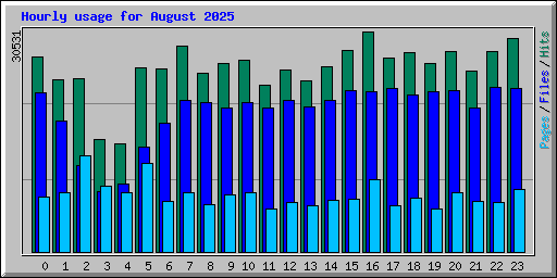 Hourly usage for August 2025