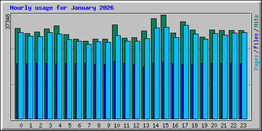 Hourly usage for January 2026