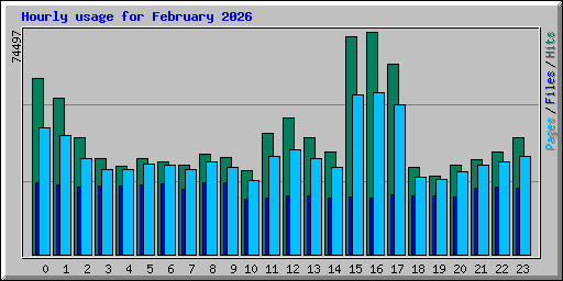 Hourly usage for February 2026