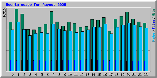 Hourly usage for August 2026